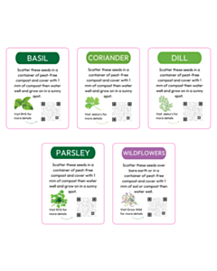 50X65mm Biodegradable Seed Labels - 5 Sorts 